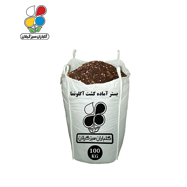 بستر آماده کشت آگلونما عمده 100 کیلویی