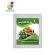 بذر فلفل زینتی کوچک مدل GPSF7S 