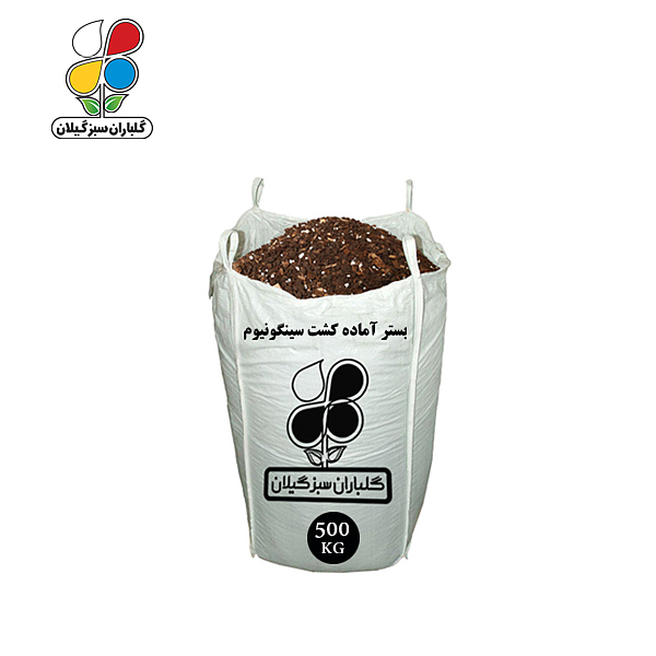 بستر آماده کشت سینگونیوم عمده 500 کیلویی
