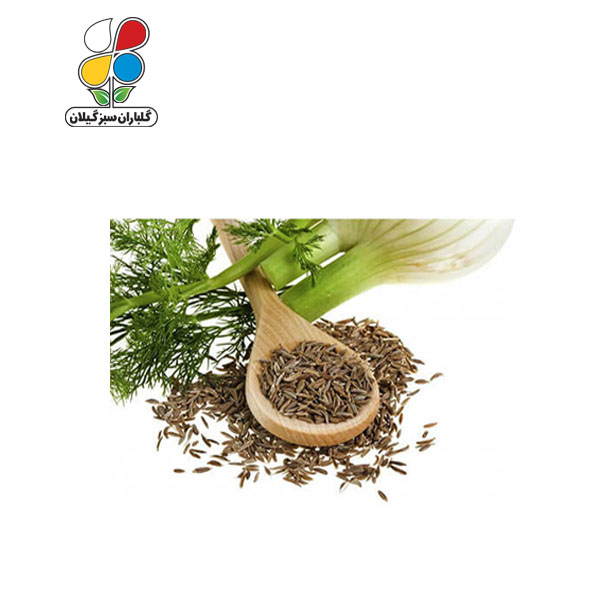 بذر رازیانه بسته بندی بزرگ مدل GPSH7L 