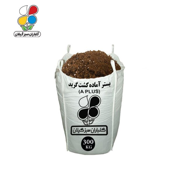 بستر آماده کشت A پلاس طلایی عمده 300 کیلویی