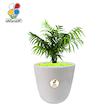 گیاه طبیعی شامادورا متوسط مدل GN13-22M  