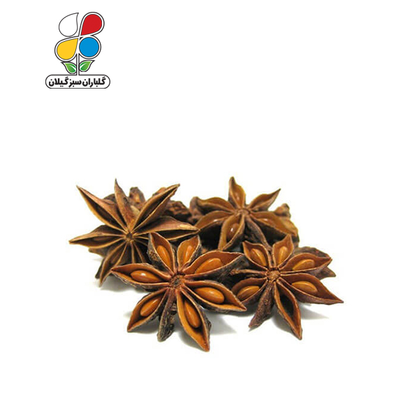 بذر انیسون مدل GPSH7L 