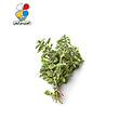 بذر مرزنجوش مدل GPSH7L 