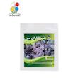 بذر ریحان بنفش بسته بندی بزرگ مدل GPSV7L
