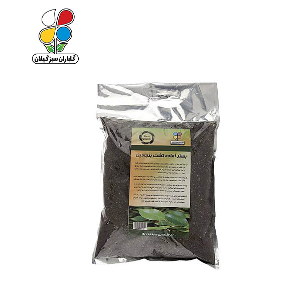 بستر آماده کشت بنجامین بسته 2 کیلوگرمی مدل GPS1