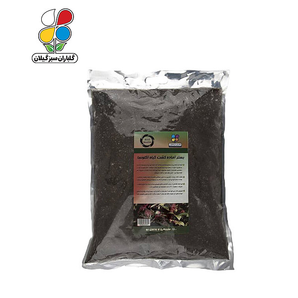 بستر آماده کشت آگلونما بسته 4 کیلوگرمی مدل GPS1