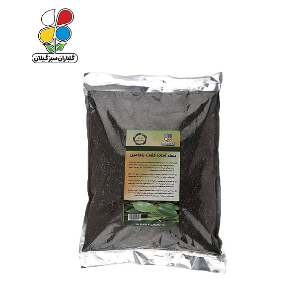 بستر آماده کشت بنجامین بسته 4 کیلوگرمی مدل GPS1