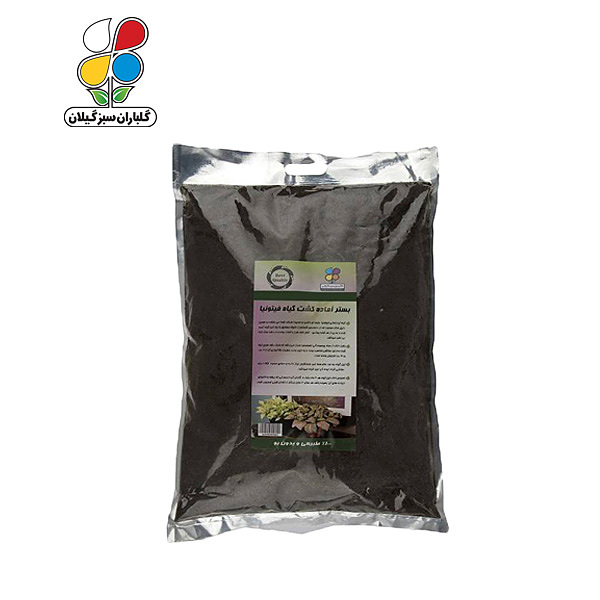 بستر آماده کشت فیتونیا بسته 4 کیلوگرمی مدل GPS1