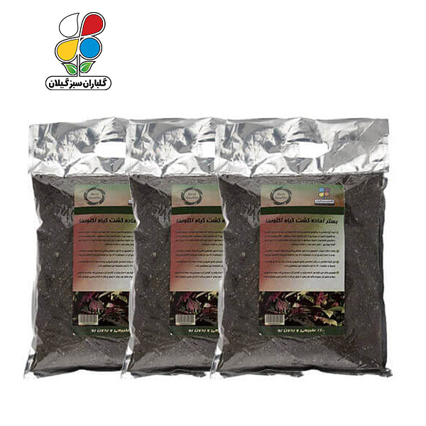 بستر آماده کشت آگلونما 2 کیلوگرمی بسته سه عددی مدل GPS1