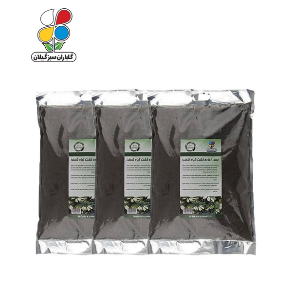 بستر آماده کشت شفلرا 4 کیلوگرمی بسته سه عددی