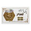 سکه طلا ۱۸ عیار پارسیان 500 سوت زر گلد