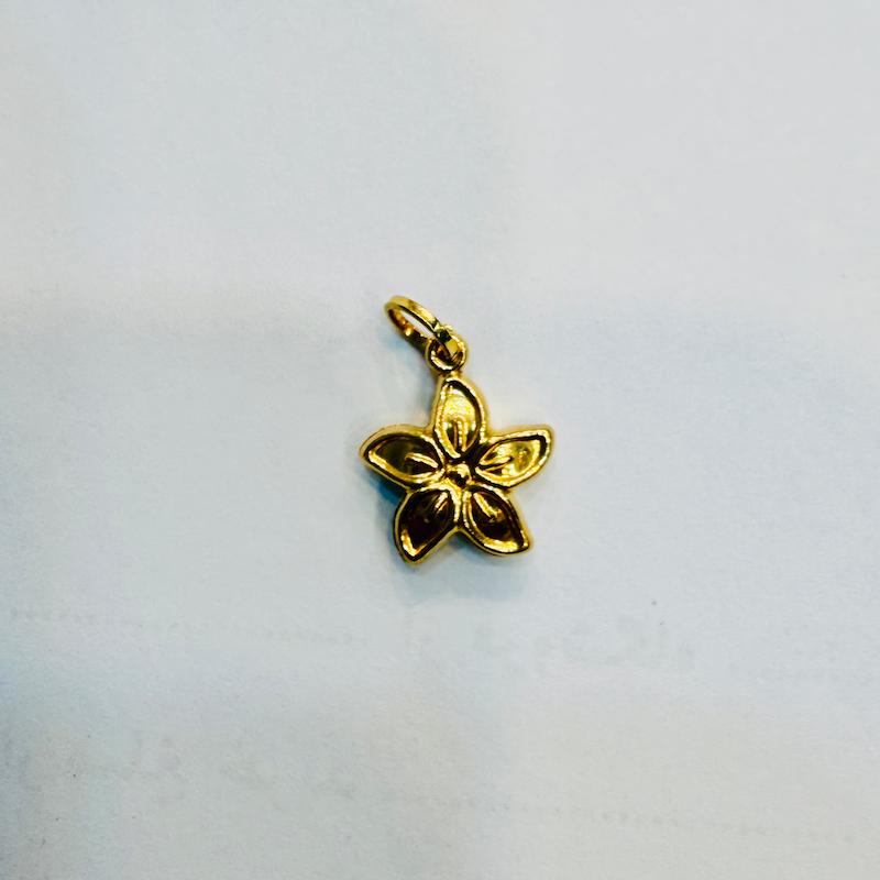 آویز طلا ۱۸ عیار گل گالری الیاگلد