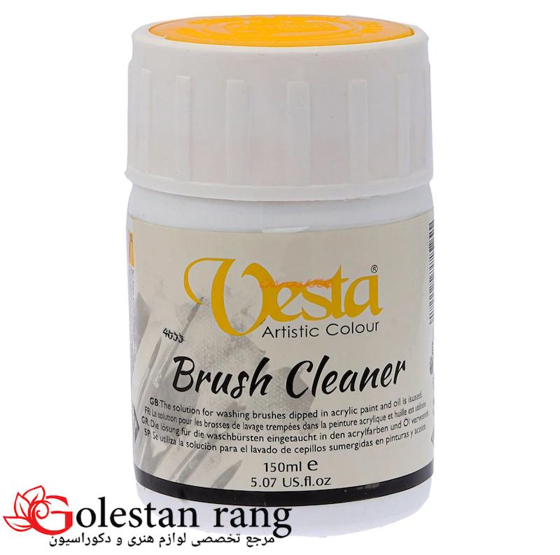 مایع قلم شور رنگ روغن و اکریلیک وستا حجم 150 میل