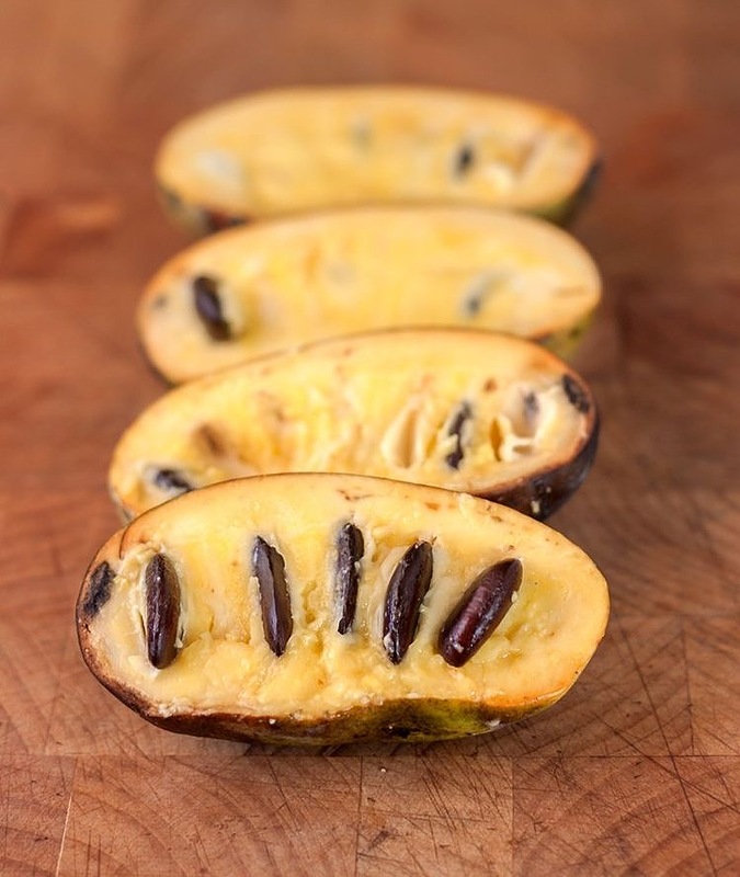 نهال پاوپاو(موز انبه)