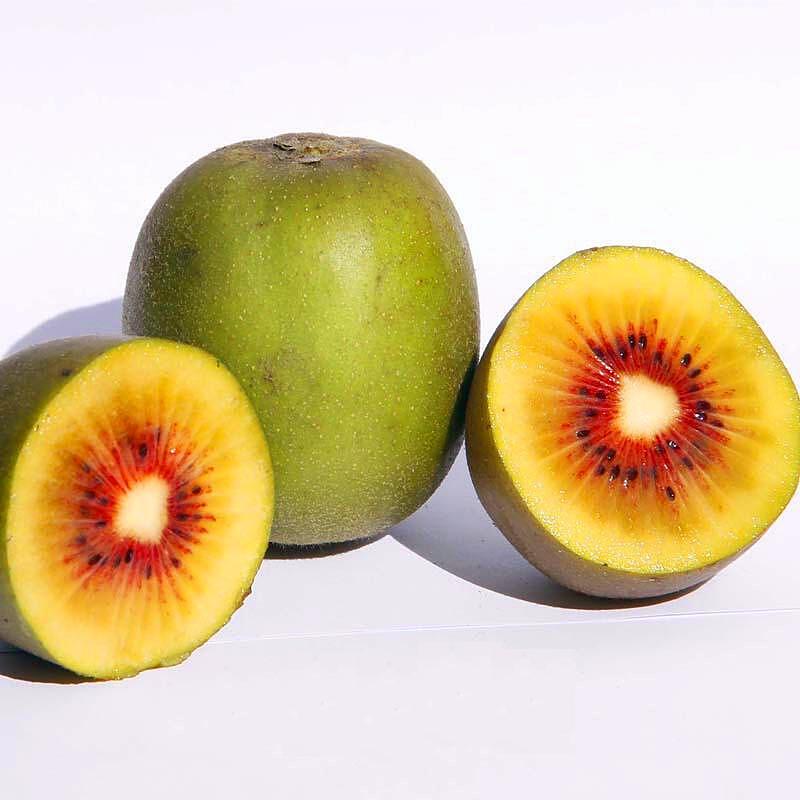 نهال کیوی تو سرخ