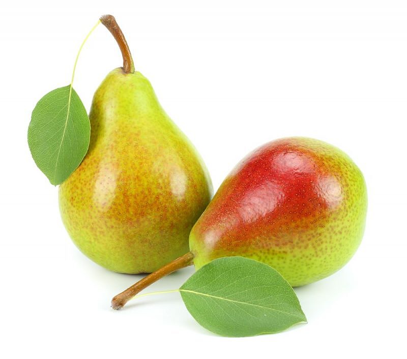 نهال گلابی اسپادانا