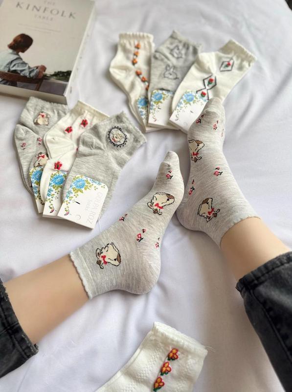 نیم ساق خرگوش طوسی