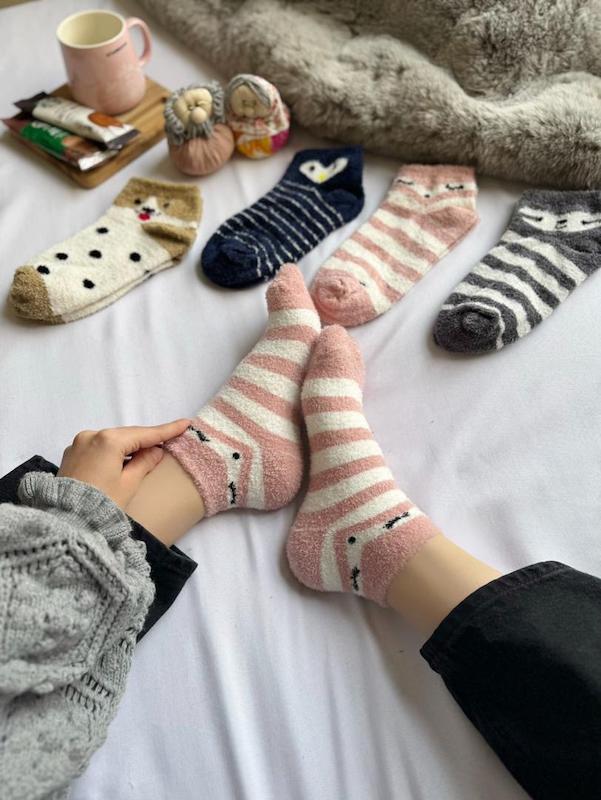 مچی بوکله حیوانات رنگی