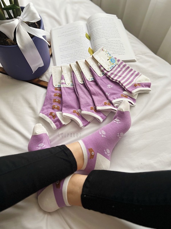 تدی معروف یاسی 