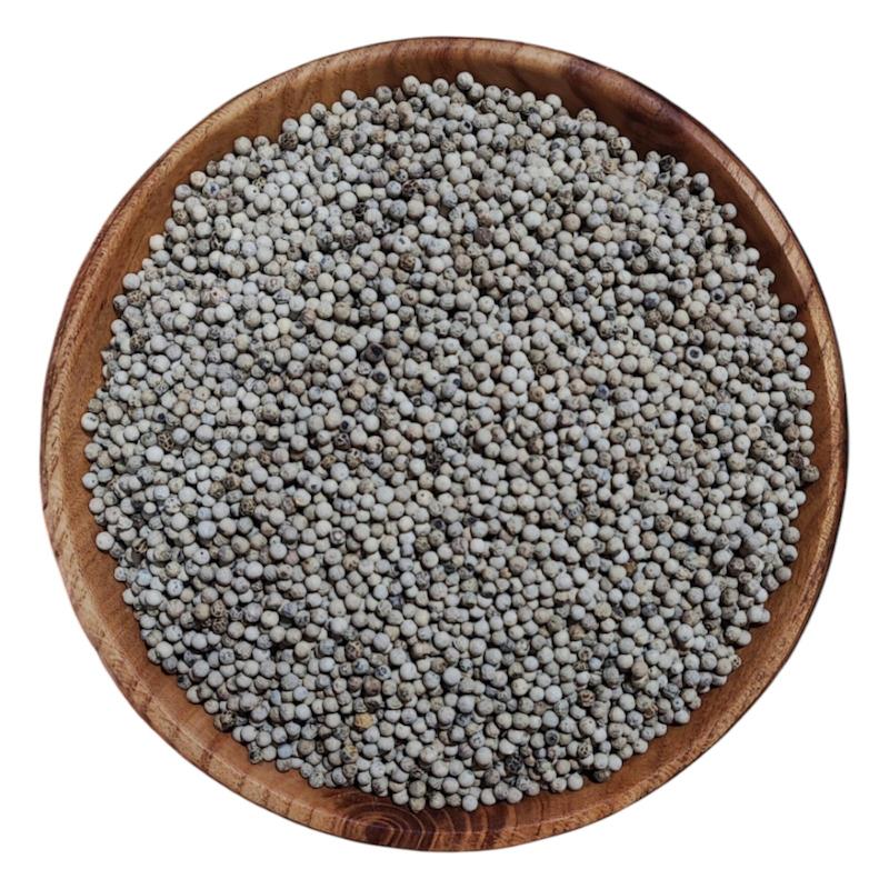 دان فلفل سفید