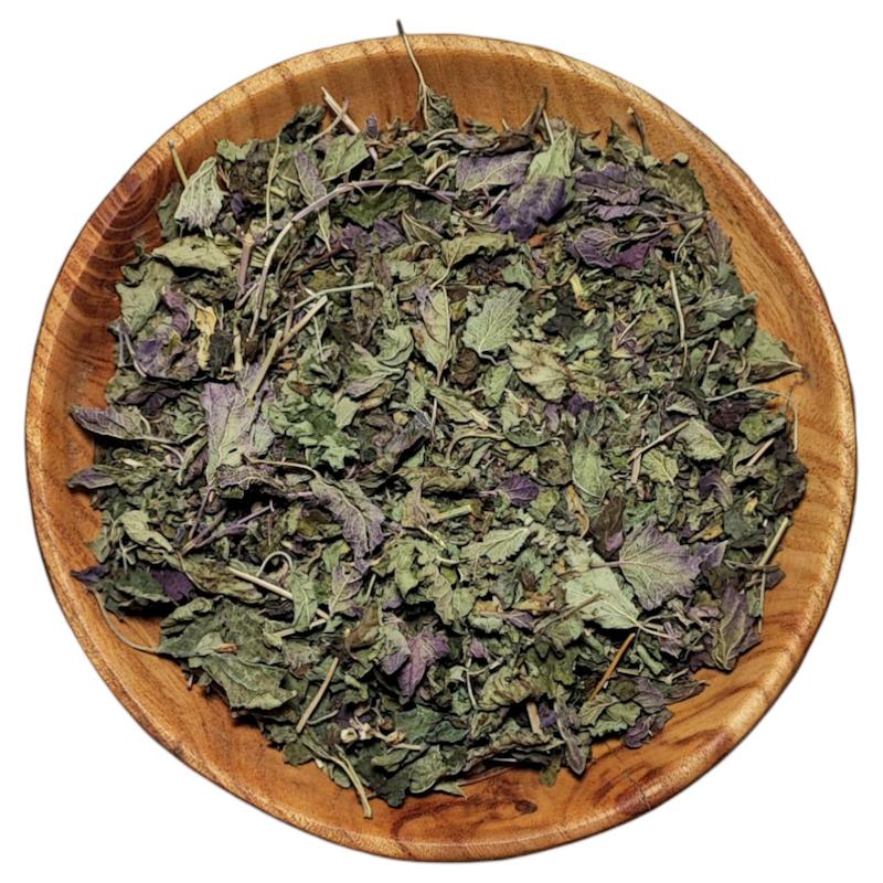 بادرنجبویه