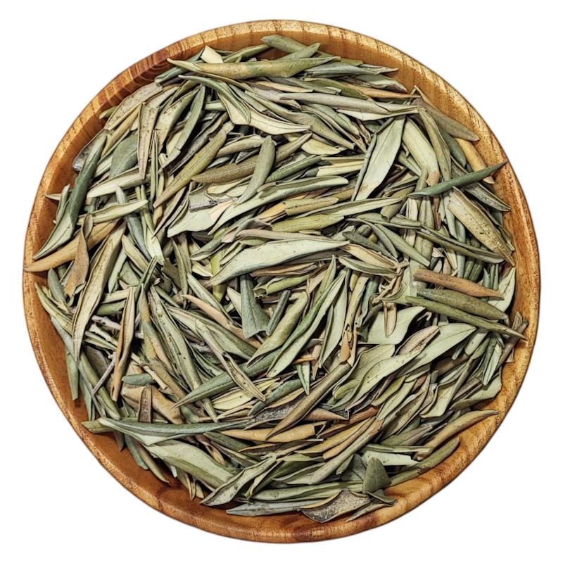 برگ زیتون سبز