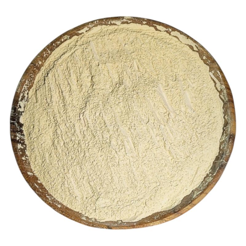 پودر سیر خالص 