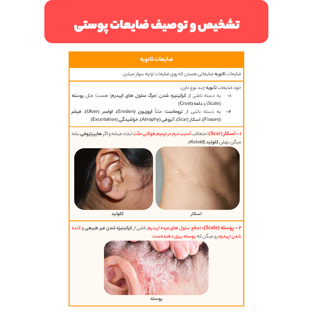تمام رنگی با عکس های جذّاب برای درک بهتر مطالب