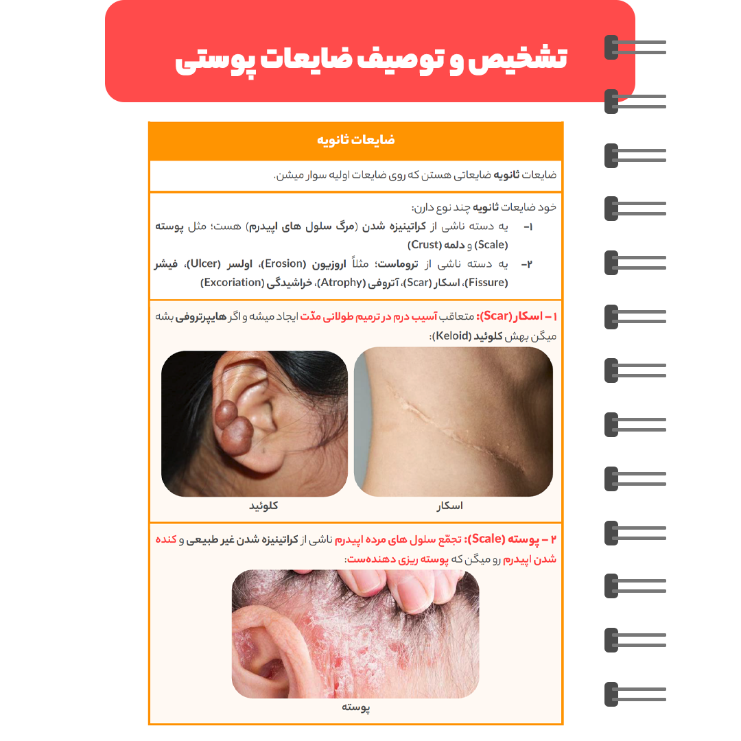 تمام رنگی با عکس های جذّاب برای درک بهتر مطالب