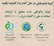 لوبیا چشم بلبلی ارگانیک آبگینه 