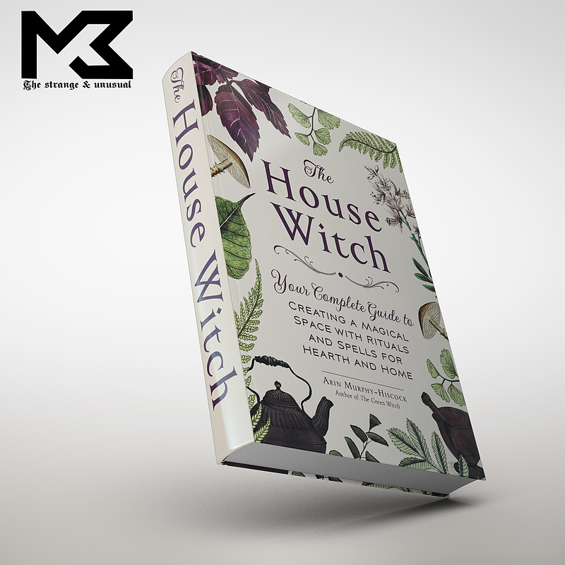 کتاب The house witch