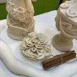 ست آیورا