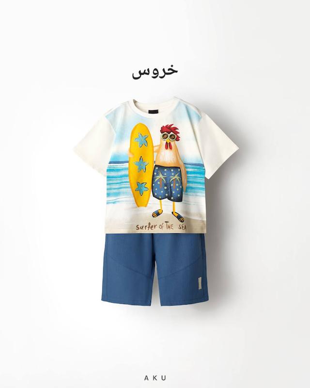 ست چاپی آکو