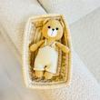 عروسک بافت تدی کرم