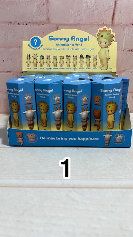 سانی آنجل