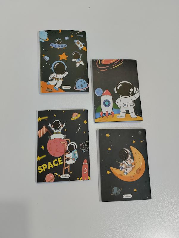 دفترچه  پاسپورتی فضانورد