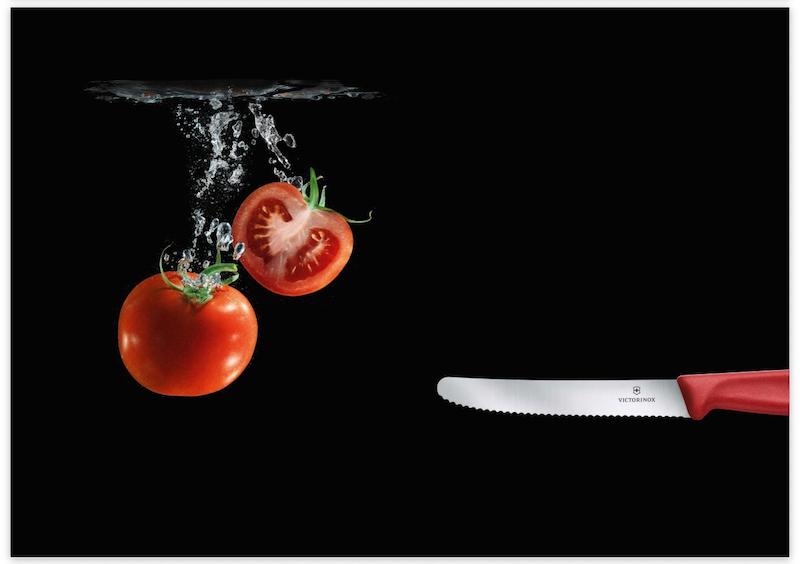 چاقوی میوه اره ای ویکتورینوکس Victorinox