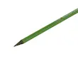 مداد رنگی 12 رنگ woodless البرز مدل روباه 
