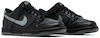Nike Dunk Low Symbiote