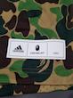 BAPE x adidas SB Jersey Green