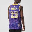 NBA Retro Basketball Vest SW Fan Edition LeBron James 23 Purple
