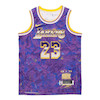 NBA Retro Basketball Vest SW Fan Edition LeBron James 23 Purple