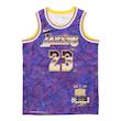 NBA Retro Basketball Vest SW Fan Edition LeBron James 23 Purple