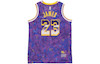 NBA Retro Basketball Vest SW Fan Edition LeBron James 23 Purple
