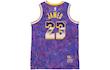 NBA Retro Basketball Vest SW Fan Edition LeBron James 23 Purple