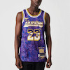 NBA Retro Basketball Vest SW Fan Edition LeBron James 23 Purple