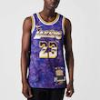 NBA Retro Basketball Vest SW Fan Edition LeBron James 23 Purple