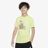 Dri-FIT ACG FD0850-736