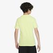 Dri-FIT ACG FD0850-736
